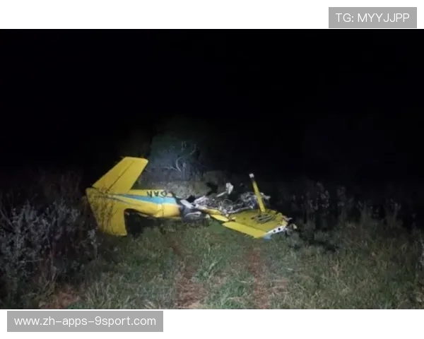 北大教授坠机事故警示：私人航班安全受关注，北大 教授